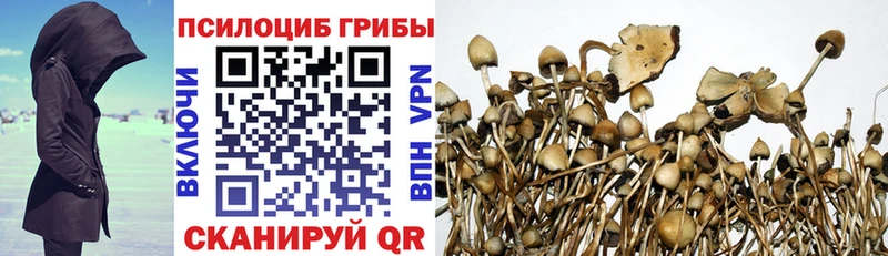 Купить закладки Великий Устюг Галлюциногенные грибы ЛСД